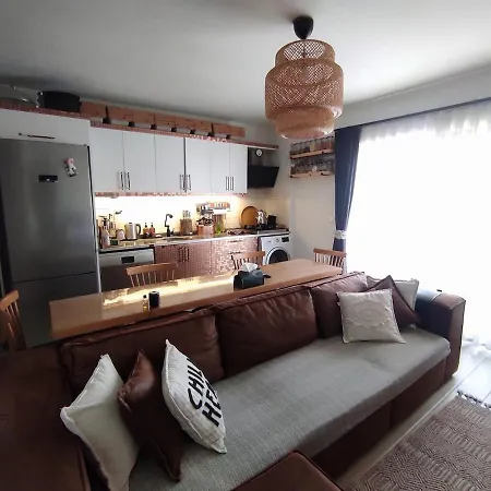 Modern In With Pool Apartment